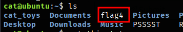 BankCTF